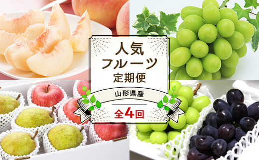 【令和7年産先行予約】 《定期便4回》 JA 夏秋冬人気フルーツ定期便 『JA山形おきたま』 山形県 南陽市 [1492]