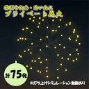 【ふるさと納税】【特別な記念・思い出に】プライベート花火（75発） 花火 はなび 記念 思い出 プライベート アニバーサリー 誕生日 記念日 結婚 プロポーズ