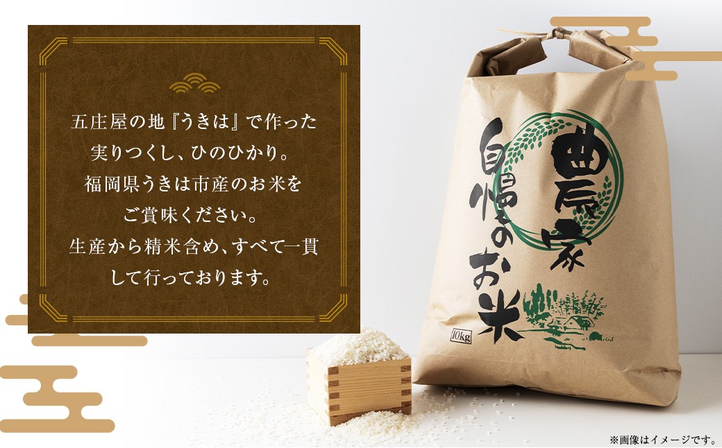 五庄屋の地で作った お米 玄米 食べ比べセット（ 実りつくし ・ ひのひかり ）各5kg