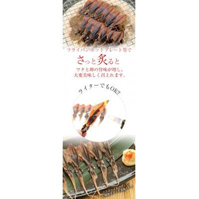 ふるさと納税 氷見市 ホタルイカ魚醤干し 11袋(B5セット)