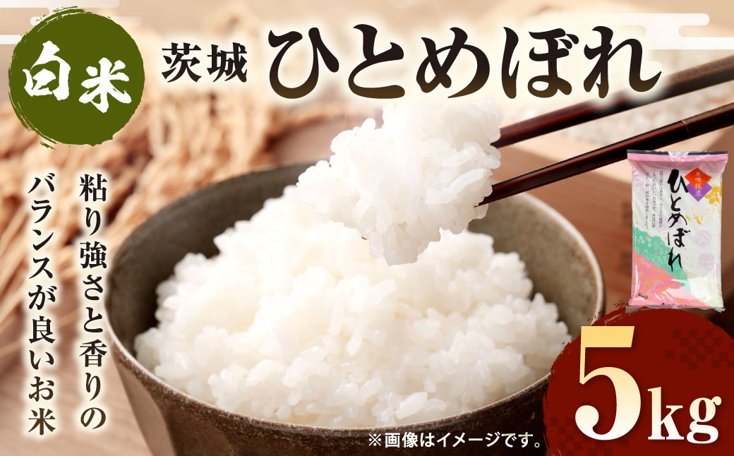 令和7年産 茨城ひとめぼれ 5kg 1袋 ひとめぼれ 白米 精米 ごはん お米 国産 茨城県産 守谷市 送料無料