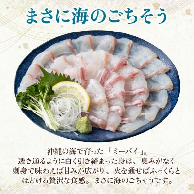 ふるさと納税 石垣市 石垣島 ハタ 丸ごと1本 | ミーバイ ヤイトハタ |  | 02