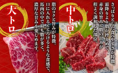 馬刺し セット 1.6kg 厳選馬刺し 最上級馬刺し 大トロ馬刺し 中トロ馬刺し 赤身馬刺し