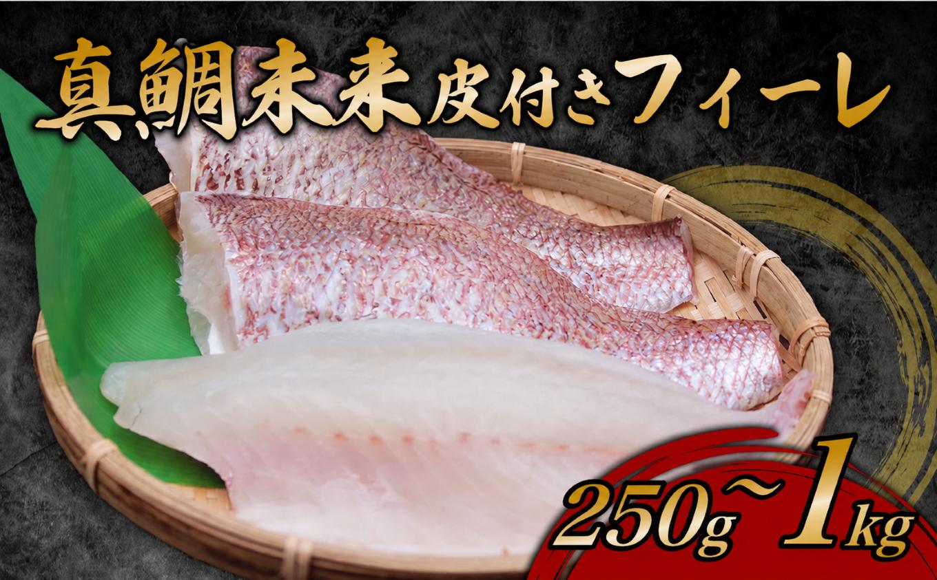 
                  鯛 フィーレ  約250g~1kg 選べる 半身 1尾 2尾 容量 皮つき 皮あり 真鯛未来 刺身 新鮮 海鮮 鯛しゃぶ 鯛めし 鍋 お食い初め 鯛茶漬け カルパッチョ タタキ 炙り 塩焼き 煮込み 料理 Dritto.One株式会社 宿毛市 高知県
                