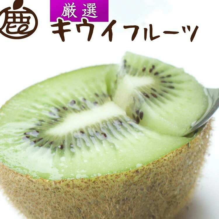 【ふるさと納税】＜2025年11月より発送＞選べる内容量 厳選 キウイフルーツ◇ ※北海道・沖縄・離島への配送不可 ※2025年11月中旬～2026年4月下旬頃に順次発送予定
