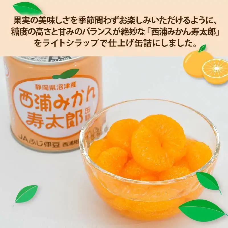 缶詰 西浦 みかん 寿太郎 缶詰 6缶 国産