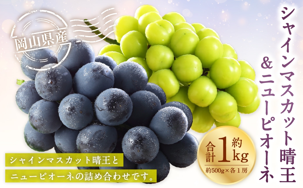 
                  岡山県産 シャインマスカット 晴王 ・ ニューピオーネ 2Lサイズ  計約1kg 詰合せ ぶどう ブドウ 葡萄 くだもの 果物 果実 フルーツ 国産 マスカット 【 2026年6月下旬～7月下旬発送予定 】
                