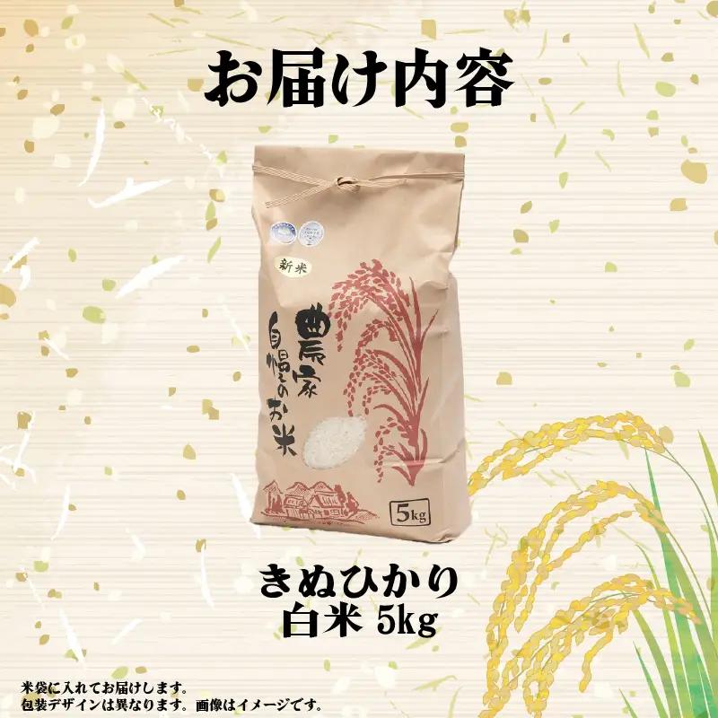 【先行予約】令和8年産 新米 キヌヒカリ 5kg 白米  米 【KW001】 近江米 精米