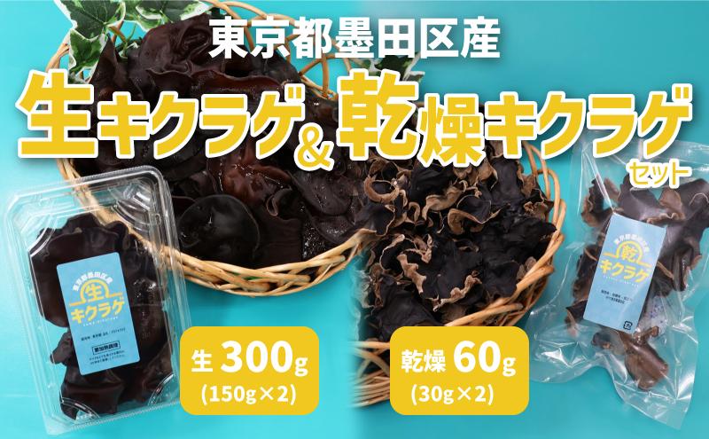 東京都墨田区産　生キクラゲ300g（150g×2パック）、乾燥キクラゲ60g（30g×2袋）　食品 野菜 きのこ キノコ きくらげ キクラゲ 木耳 純国産 新鮮 サラダ 和え物 炒め物 鍋