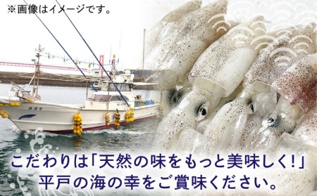 いかコロッケ 35g(6個×4)【百旬館】[KAK009]/ 長崎 平戸 加工品 惣菜 イカ いか コロッケ