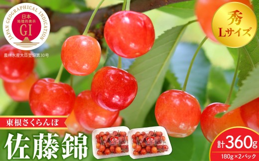 【2027年産 先行受付】GI 東根さくらんぼ 佐藤錦 秀L 180g×2 （計360g） 山形県 東根市 FMS提供 hi074-028-r9 さくらんぼ サクランボ フルーツ くだもの 果物 期間限定 先行受付 ご当地 特産 産地 直送 人気