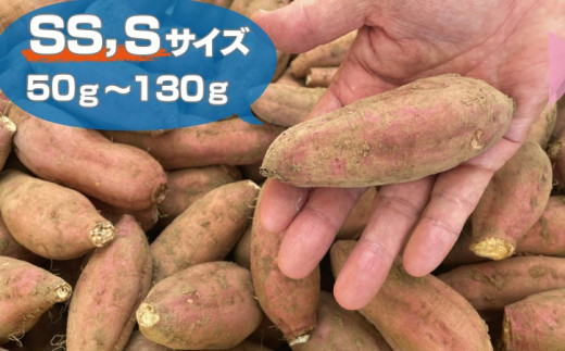 中園ファーム 種子島 安納いも （ 生芋 ） SS,Sサイズ 10kg　NFN473【450pt】 // 安納芋 安納いも発祥の地 本場・安納地域産 糖度 熟成期間 G.I 保護制度 ブランド 金賞 