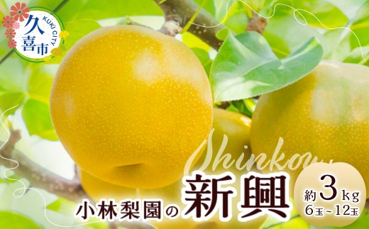 梨 新興 約3kg 6玉～12玉 先行予約 数量限定 | 梨 なし 新興 先行予約 数量限定 フルーツ 果物 和梨 産地直送 限定品 贈り物 新鮮 お取り寄せ デザート ギフト 風味豊か 香り 上品 甘い 限定 果樹 旬 ジューシー みずみずしい 高糖度 季節のフルーツ 小林梨園 埼玉県 久喜市