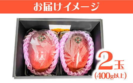 南島原産完熟マンゴー２玉 / 南島原市 / ながいけ[SCH064]