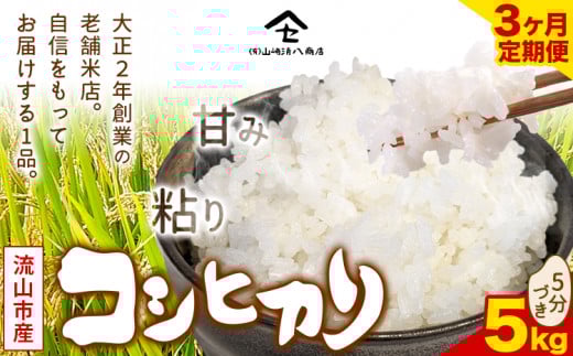 【毎月定期便3回】コシヒカリ 米 5kg《お申込み月の翌月から出荷開始》  新川耕地 5分づき 単発 千葉県 流山市 送料無料 米 こめ ごはん st-p