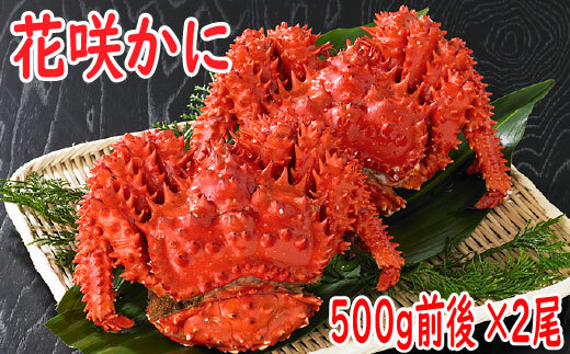 A-19010 【北海道根室産】花咲かに500g前後×2尾