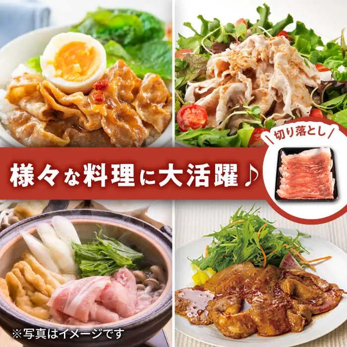 【12回定期便】若楠三元豚 切り落とし 1kg /ナチュラルフーズ [UBH076] 切り落とし