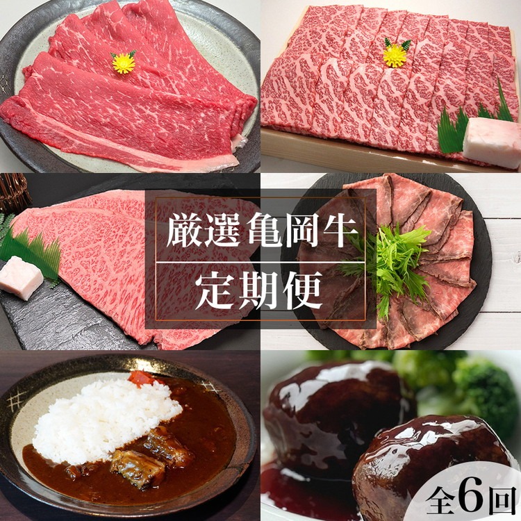 【全6回定期便】亀岡牛 定期便 亀岡牛専門店が厳選 お楽しみ 食べ比べ セット ≪冷凍 焼肉 すき焼き サーロイン ステーキ ローストビーフ 赤身 もも 肉 牛肉 国産牛 黒毛和牛 肉定期便 京都 丹波 BBQ 人気 おすすめ≫ ※離島への配送不可