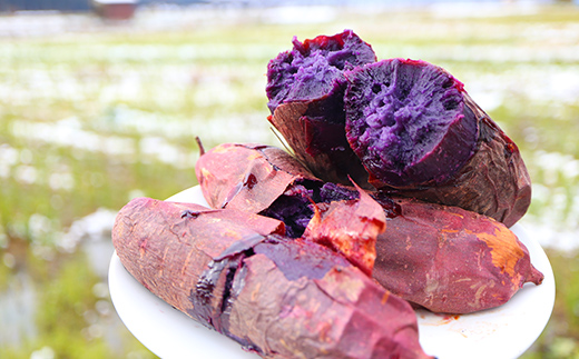 自然栽培 ふくむらさき 5kg 大～小混合 さつまいも サツマイモ 芋 F3S-2642