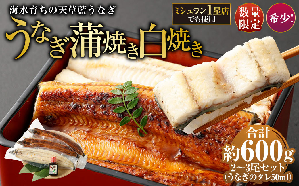 
            海水育ちの天草藍うなぎ 紅白3～4尾セット 合計約600g タレ付き うなぎ 鰻 ウナギ 蒲焼き かば焼き うなぎの蒲焼 魚 お魚
          