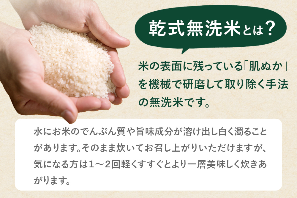 《予約受付》令和7年産【無洗米】特別栽培米 ひとめぼれ 5kg 秋田県産【2026年3月出荷】お米 米 こめ