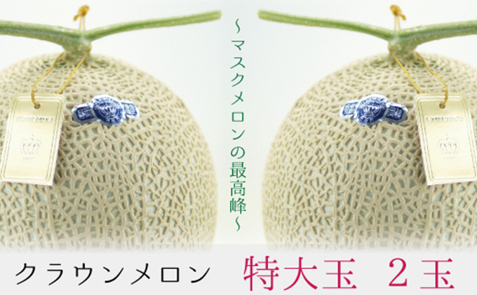 クラウンメロン（白等級）特大玉　２玉詰 果物類 メロン青