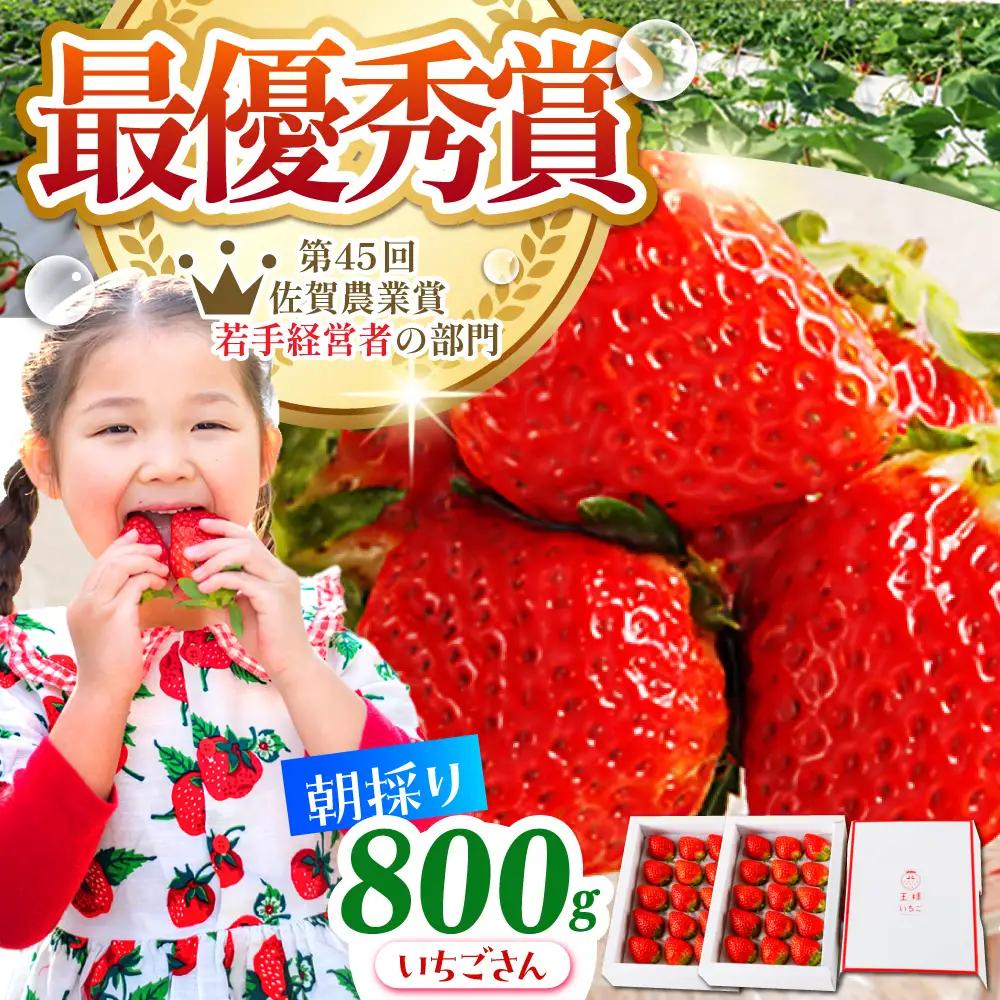 【先行予約】【1?2月発送】王様のいちご いちごさん400g×2箱 HAF009 果物 フルーツ