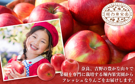 【堀内果実園】奈良県産のふじりんご 約3kg（ご家庭用） ❘ フルーツ くだもの 果物 りんご 林檎 リンゴ ふじりんご  奈良県 五條市