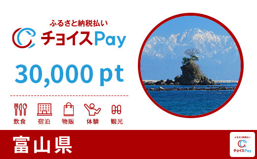 
富山県チョイスPay 30,000pt（1pt＝1円）【会員限定のお礼の品】
