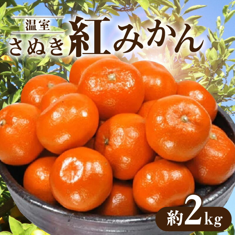 【ふるさと納税】 温室さぬき紅みかん 約2kg [ 温室 さぬき 紅みかん みかん 柑橘 果物 フルーツ 高糖度 紅色 果肉 オリジナル 香川県オリジナルみかん 国産 フルーツ王国 温室栽培 送料無料 20000 20,000円 台 香川県 三豊市 五色青果]
