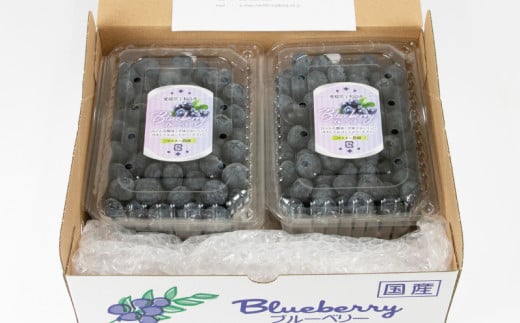 ブルーベリー 大粒 約 1kg マスタニ農園 ハウス栽培 生ブルーベリー 美味しい 500g×2パック 小分け パック 生  ベリー 果物 フルーツ デザート スイーツ ポリフェノール  抗酸化作用果