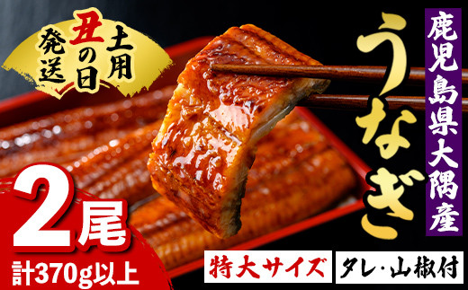 A57003 《土用の丑の日までに発送！》特大うなぎ蒲焼(有頭)(2尾・計370g以上、タレ、山椒付) 鹿児島 国産 大隅産 九州産 鰻 うなぎ ウナギ 蒲焼き うな丼 うな重 ひつまぶし 土用の丑の日 丑の日発送 スタミナ 冷凍 真空パック お土産 化粧箱 贈答 ギフト プレゼント 【一般社団法人きもつき宇宙協議会】