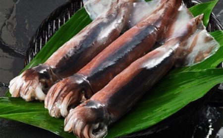イカ 炊き込みご飯 イカ