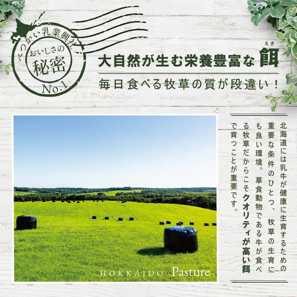 ひと味 違う 別海町 の 牛乳 ♪ たっぷり 6リットル ＜緊急支援品＞北海道産 べつかいの 牛乳屋さん 牛乳 1L × 6本入（M-21） ふるさと納税 緊急支援（ 牛乳 北海道産牛乳 道産牛乳 北