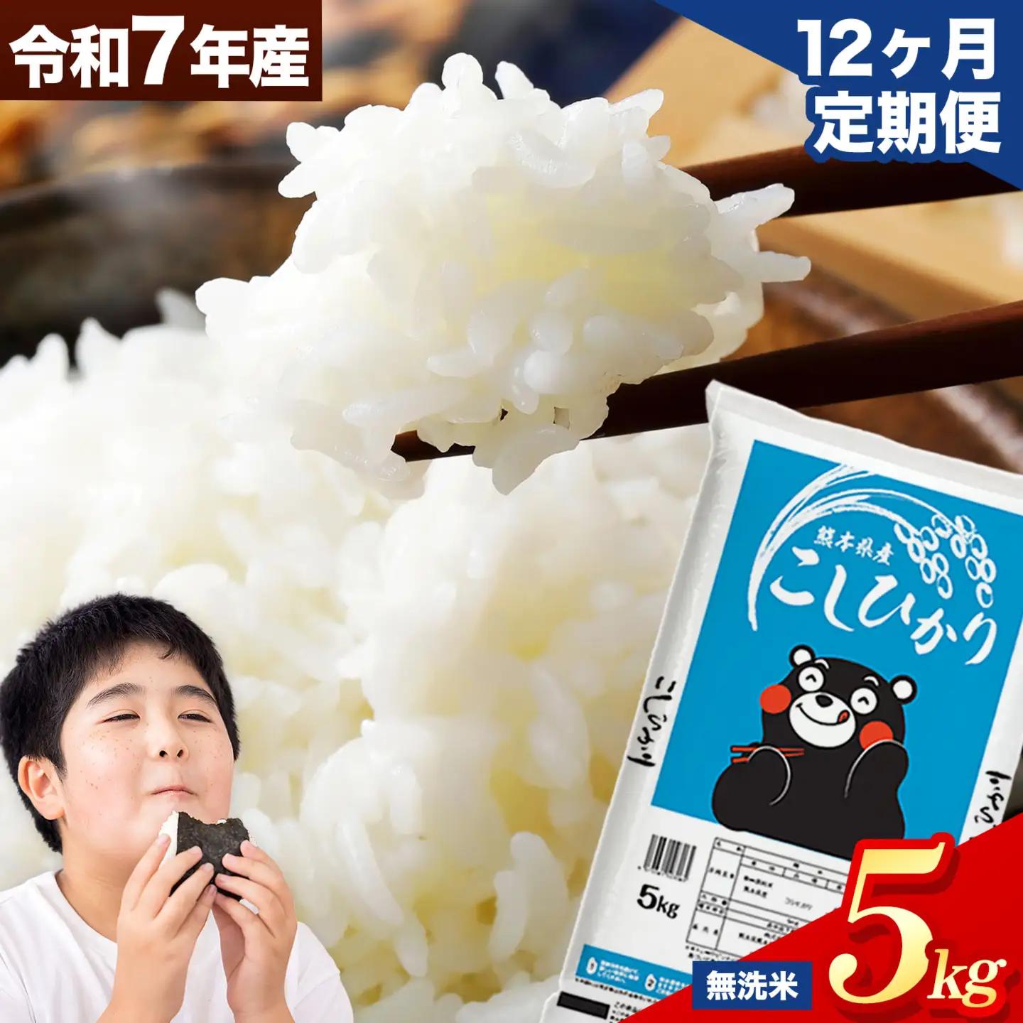 【12ヶ月定期便】令和7年産 無洗米 こしひかり  5kg 無洗 《お申込み翌月から出荷》