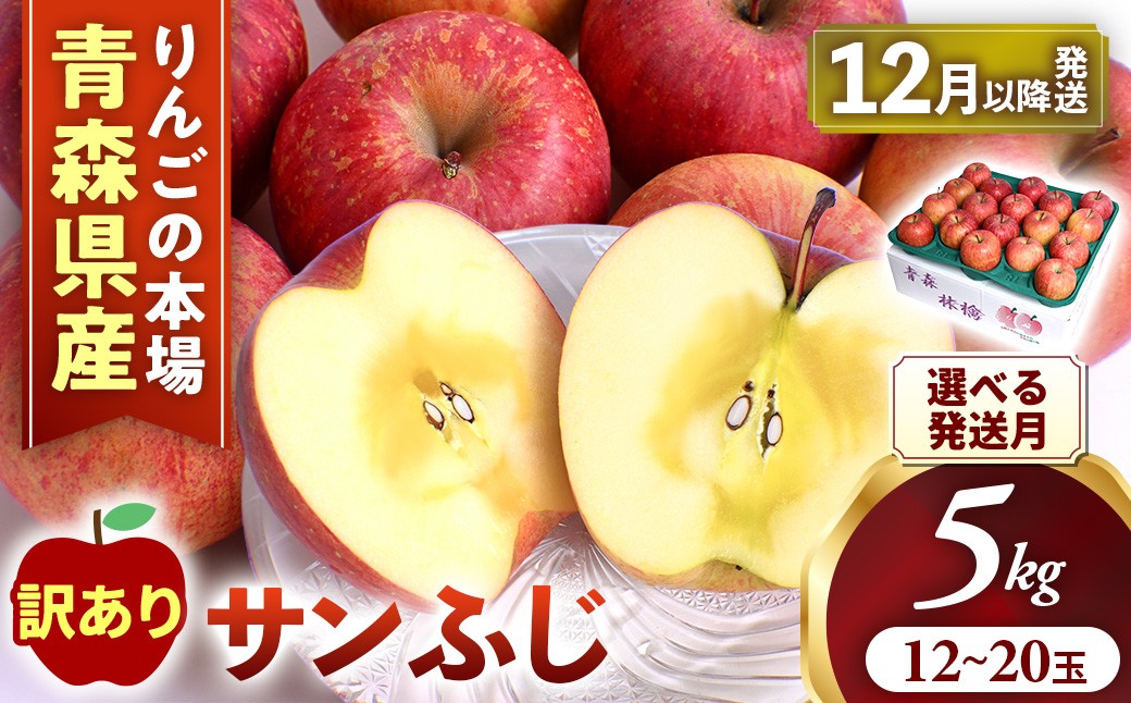 
                  【訳あり】りんご【サンふじ】約5kg（12～20玉） 【2026年産・先行予約】★選べる発送月★ アップル 林檎 フルーツ 果物 果実 産地直送 農家直送 送料無料 青森県 三戸町 AK-24-P01
                