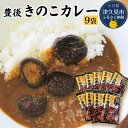 【ふるさと納税】豊後きのこカレー 9袋 レトルトカレー 中辛タイプ 保存食 常温保存 非常食 ご当地カレー 椎茸 お取り寄せ グルメ 大分県産 九州産 津久見市 国産 送料無料