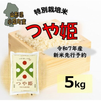 【ふるさと納税】【令和7年産新米先行予約】つや姫5kg　山形県小国町産　精米　小国米穀商業協同組合【1545806】