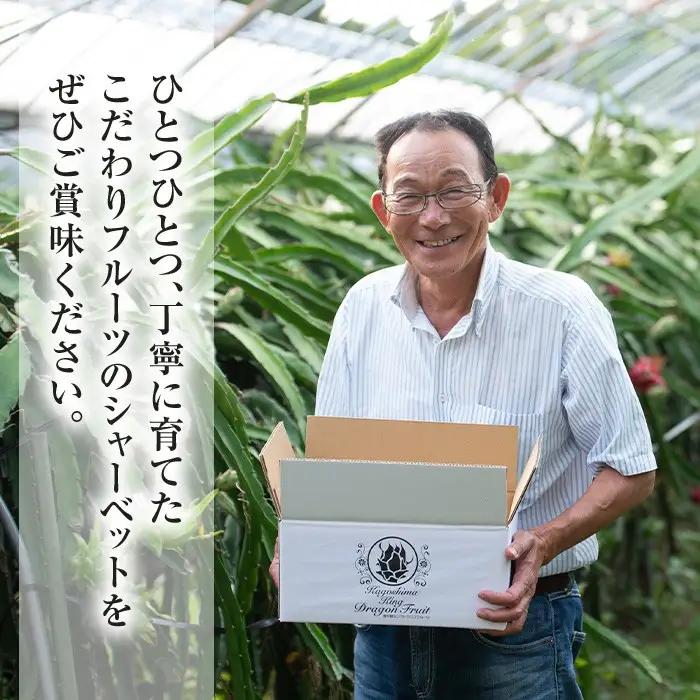 鹿児島県産 フルーツ シャーベット アイス 計12個 90g×各6個 パッションフルーツ レッドドラゴンフルーツ はまうえ果樹園 No.627 