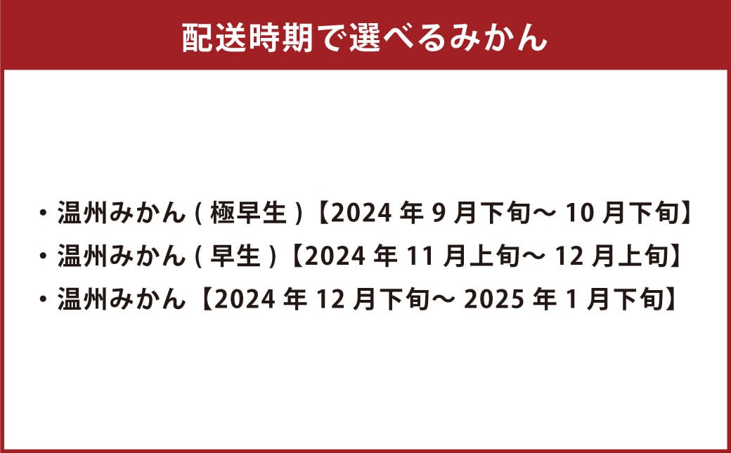 特別栽培みかん 7kg サイズミックス