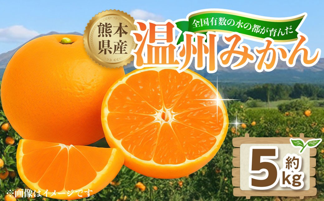 
                  熊本県産温州みかん 5kg（30-35玉）【2026年11月下旬発送開始】 熊本県産 国産 温州 みかん ミカン おやつ 果物 果実 フルーツ 5kg 30 35玉
                