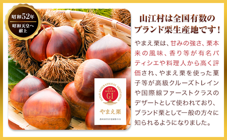 GI認証登録 山江村の やまえ栗 生栗 2kg 品種指定なし 筑波 美玖里 など旬の品種 やまえ栗ブランド部会 有限会社やまえ堂《9月上旬-10月下旬頃出荷》熊本県 球磨郡 山江村 栗 くり フルーツ