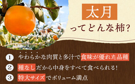 【10月下旬～11月下旬発送】種なし柿 太月・渋抜き柿 3kg【小林農園】[HAX001]