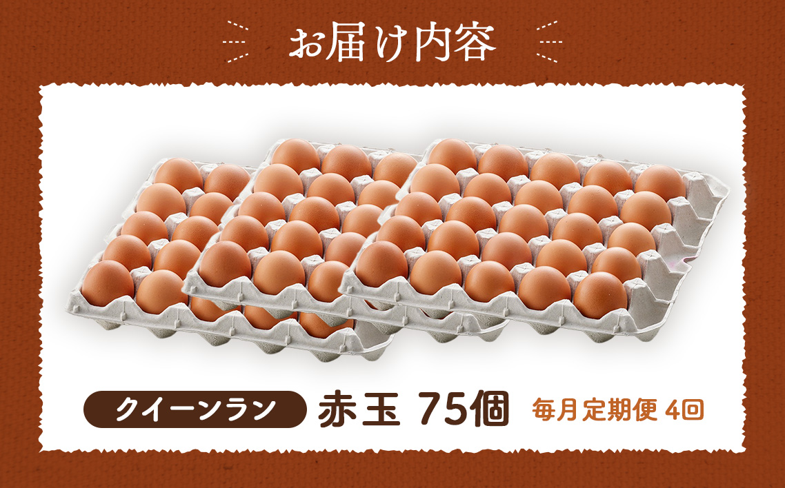 【毎月定期便】黄身がつかめる新鮮地たまご クイーンラン 赤玉 75個入り全4回