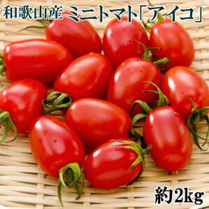 ZD7012_和歌山産ミニトマト「アイコトマト」約2kg（S・Mサイズおまかせ） 2025年5月発送
