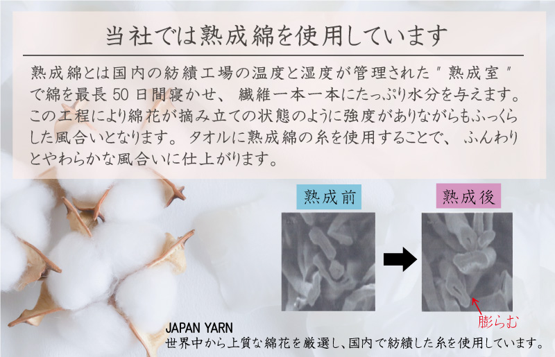 【スピード発送】泉州タオル「GF無撚糸」フェイスタオルセット【泉州タオル 国産 吸水 普段使い 無地 シンプル 日用品 家族 ファミリー】