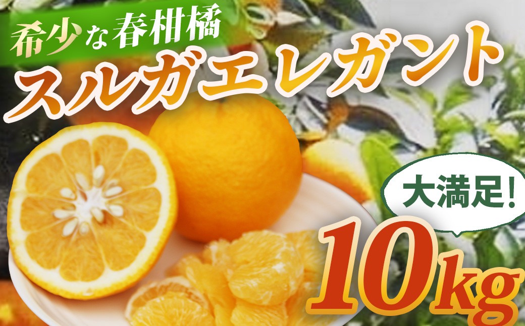 
            （先行予約・限定100セット・３月～５月発送）スルガエレガント（10kg）【静岡県 伊豆市 果物 柑橘類 】　015-003
          