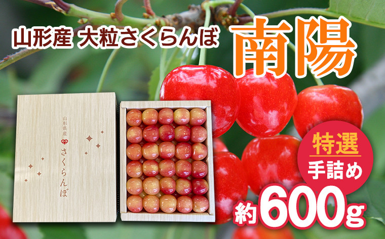 
                  山形産 大粒さくらんぼ 南陽 特選 手詰め 約600g 【令和9年産先行予約】FS25-713 くだもの 果物 フルーツ 山形 山形県 山形市 2026年産
                