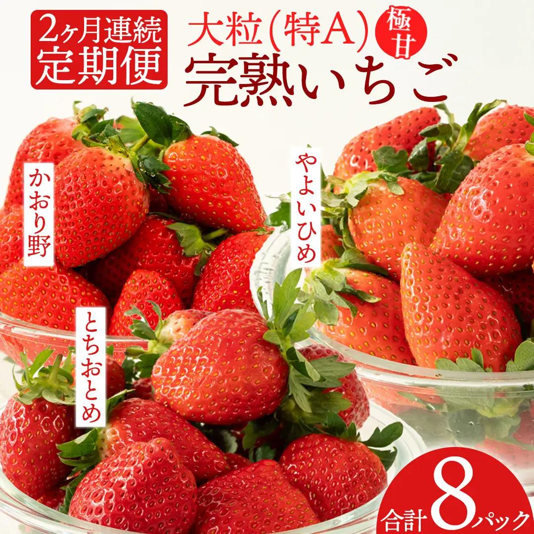 《 2027年 収穫分 》全2回 定期便 完熟 いちご 4パック × 2回 合計 8パック KEK 国産 かおり野 とちおとめ やよいひめ 国産 いちご イチゴ 苺 くだもの 果物 フルーツ 冬 春 旬 [BC074sa]