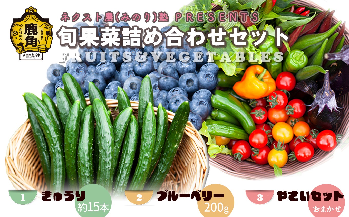 
                  令和8年産 ネクスト農（みのり）塾 PRESENTS 旬果菜詰め合わせセット「きゅうり／生ブルーベリー／旬の野菜」【優作ファーム】 野菜 旬 果物 くだもの フルーツ 食べ比べ セット 詰め合わせ 贅沢 特産 国産 鹿角産 秋田県 秋田 あきた 鹿角市 鹿角 かづの ギフト プレゼント
                